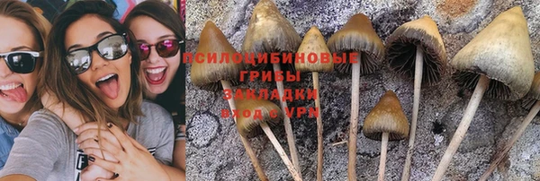 кокс Медвежьегорск