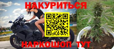 крисы Аргун