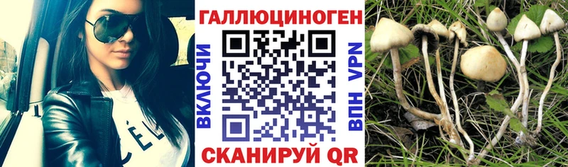 Галлюциногенные грибы ЛСД  гидра зеркало  Чернушка 