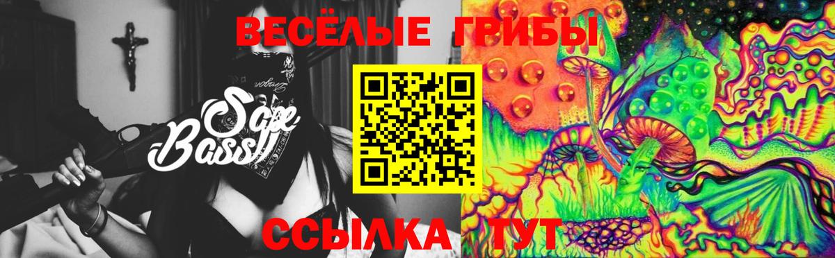 Галлюциногенные грибы Magic Shrooms  Псилоцибиновые грибы Psilocybine cubensis  где продают наркотики  Чернушка  Вход с VPN 