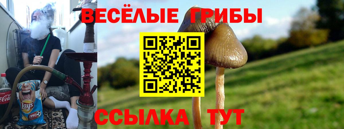 МЕТ  Кетамин  Чернушка  Вход с VPN  A-PVP СОЛЬ   Каннабис  Гашиш  Кокаин  МЕФ кристаллы 