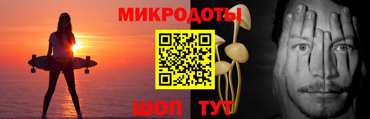 Псилоцибиновые грибы Psilocybe Чернушка
