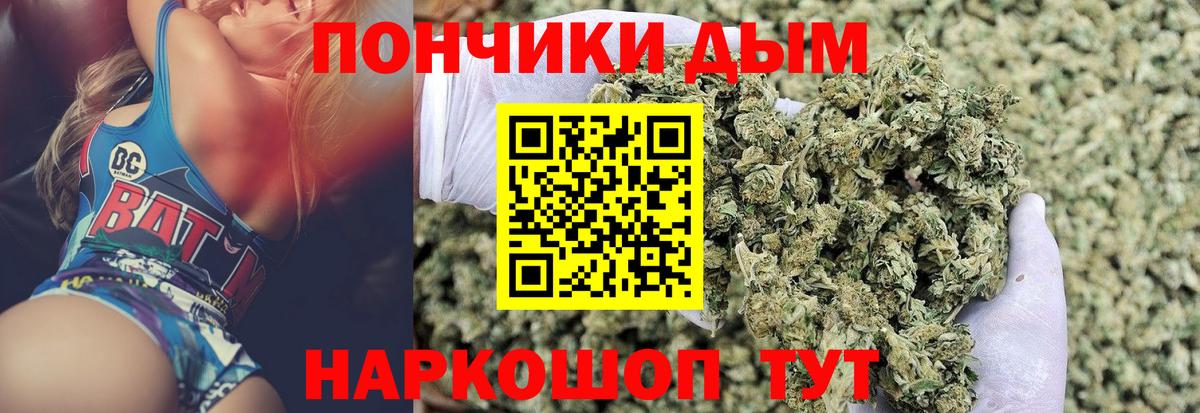 Бошки марихуана план  Марихуана конопля  Марихуана ГИДРОПОН  МАРИХУАНА MAZAR  Чернушка 